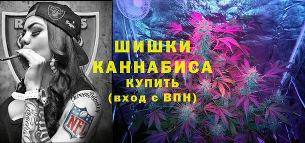ешки Алзамай