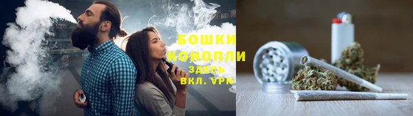 прущие грибы Арсеньев